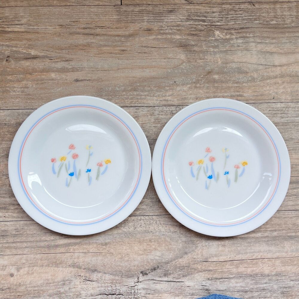 Arcopal Pastoral Salad Plates Set of 2 • French Milk Glass Floral • 7.5” Vintage